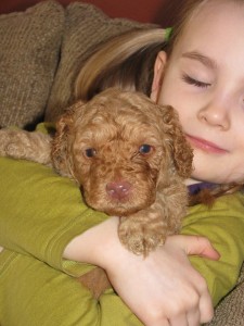 kids and labradoodles